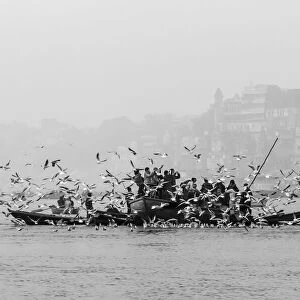 Early Morning on the Ganges