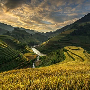 RiceTerrace ( vietnam)