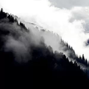 Coniferous forest on mountainside in fog. Kham Mountains, Tibet. October 2016