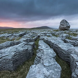 Grykes in limestone pavement at sunset, , Twisteleton Scar End, Yorkshire Dales National Park