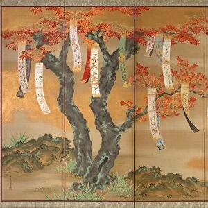 Autumn Maples with Poem Slips, 1654 / 81. Creator: Tosa Mitsuoki