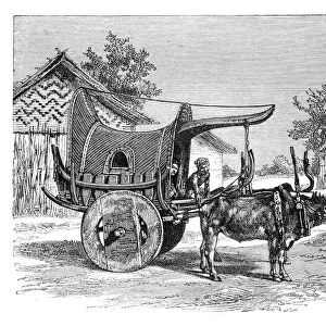 A Burmese wagon, Burma (Myanmar), 1895