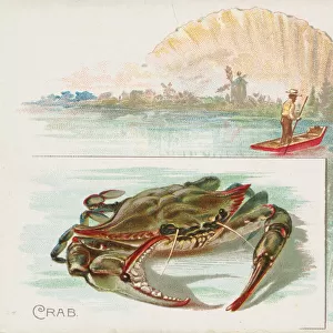 Crab, from Fish from American Waters series (N39) for Allen & Ginter Cigarettes, 1889