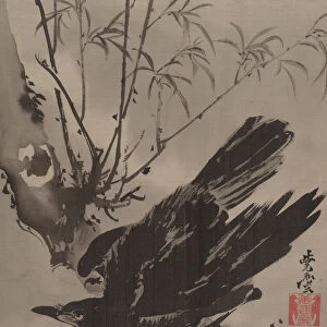 Crow on a Branch, ca. 1887. Creator: Kawanabe Kyosai