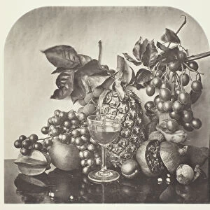Fruit, c. 1868. Creator: John Thomson