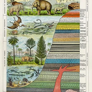 Geology and Palaeontology, c1880