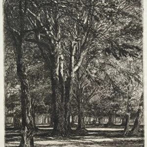 Kensington Gardens (The Larger Plate), 1860. Creator: Francis Seymour Haden (British, 1818-1910)
