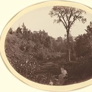 Landscape near Williams College, c. 1870. Creator: George K Warren