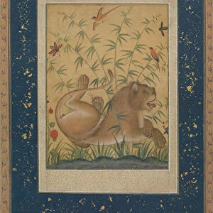 Lion at Rest, ca. 1585. Creator: Mansur