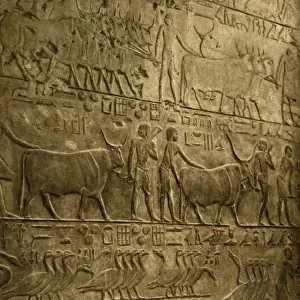 Saqqara - Tomb of Ptahotep - Mural Decoration, c1918-c1939. Creator: Unknown