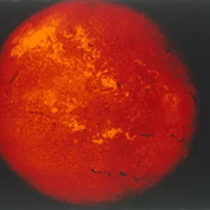 The Sun in H-alpha light. Creator: NASA