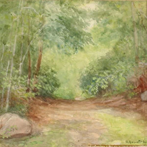 Untitled (Forest Scene), 1902. Creator: Robert Bruce McDougall
