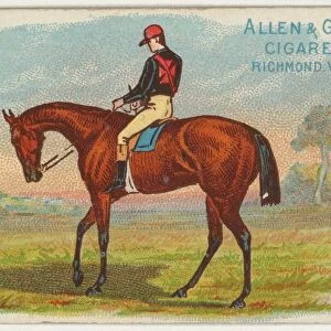 Volante, from The Worlds Racers series (N32) for Allen & Ginter Cigarettes, 1888
