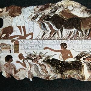 Wall painting from the tomb of Nebarunun, Thebes, Egypt, c1350 BC
