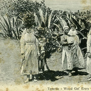Wood gatherers, Tenerife, Canary Islands, early 20th century(?)