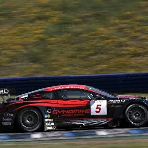 FIA GT Championship: Andrea Piccini Phoenix Racing Aston Martin DBR9