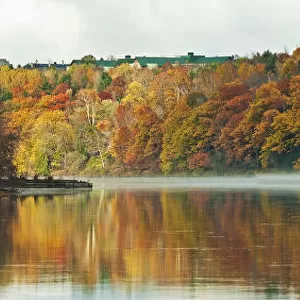 Autumn Coloured Trees Along The Shoreline Of A Lake; Maine United States Of America