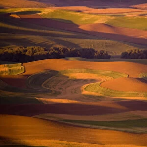 Palouse wheat fields from Steptoe Butte at sunset, Washington, USA