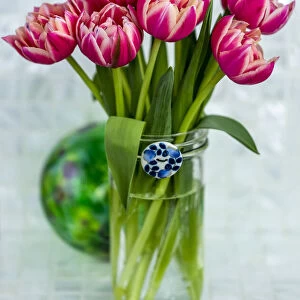Pink tulips arranged in a glass vase on a counter in Surrey, British Columbia, Canada