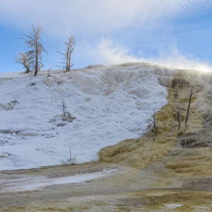Lower terras in winter, Yellowstone National Park, Wyoming, United States
