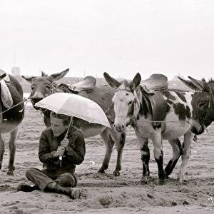 A Miserable day at Margate beach for the donkey rides owner who takes cover under an