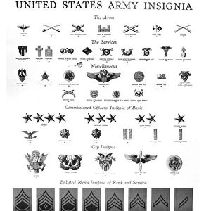 A recruitment poster showing badges and insignia of rank