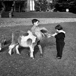 Sally and George Stephanson with Rosetta the miniature pony. March 1953 D1098