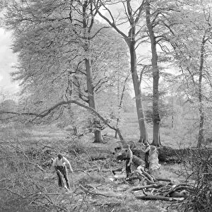 Woodsmen at work in the 1930 s