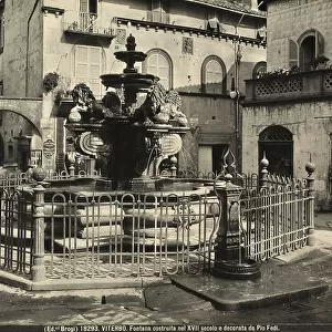 The 17th century Fountain of the Lions in Viterbo's Piazza delle Erbe. The fountain was restored in 1877 by Pio Fedi