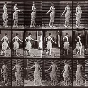 "Animal Locomotion" (plate 53): sequence of woman throwing a sprig of leaves whilst walking