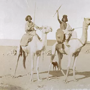 Ethnic portrait of two sudanese warriors. They belong to the Bicharin tribe and are shown riding two dromedaries, holding lances. Behind the dromedaries a small dog can be glimpsed
