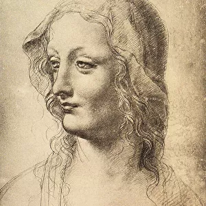 Head of a young woman, drawing by Leonardo da Vinci (School of), Gabinetto dei Disegni e Stampe, Uffizi, Florence