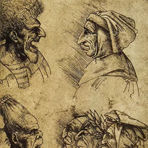 Seven grotesque heads; drawing by Leonardo da Vinci. Gallerie dell'Accademia, Venice