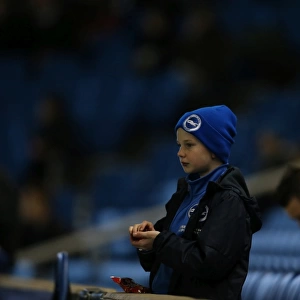 Brighton and Hove Albion v Leeds United Sky Bet Championship 29 / 02 / 2016