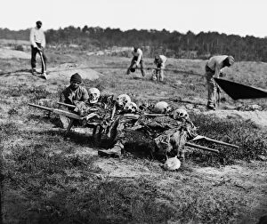 Cold Harbor, Va. African Americans collecting bones of soldi