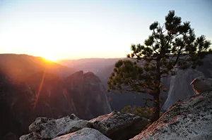 Travel And Tourism Prints: Sunset from Taft Point with pine tree