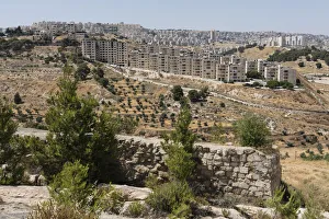 The traditional site of the fields of the shepards flocks in the hills near Bethlehem The traditional site of the fields of the shepards flocks in the hills near Bethlehem
