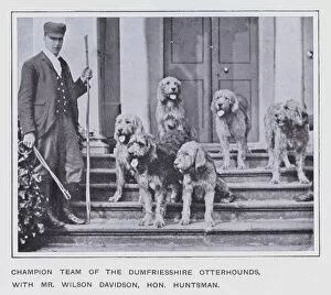 Champion Team of the Dumfriesshire Otterhounds, with Mr Wilson Davidson, Honourable Huntsman (b / w photo)